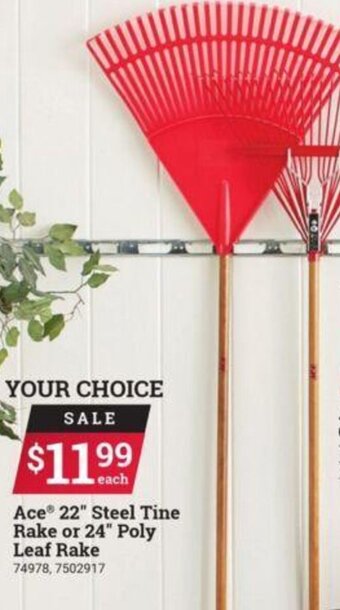 Ace Hardware Ace 22" Steel Tine Rake Or 24" Poly Leaf Rake offer