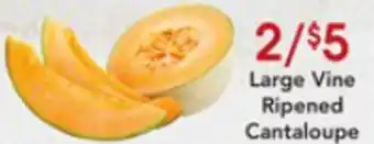 Large Vine Ripened Cantaloupe