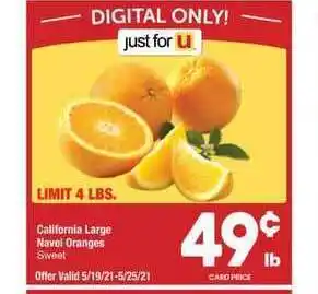 California Large Navel Oranges