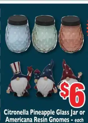 Weis Markets Citronella Pineapple Glass Jar Or Americana Resin Gnomes offer