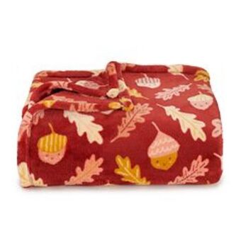 Kohl's The big one® oversized supersoft plush throw offer