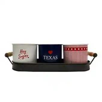 Kohl's Sonoma goods for life® trio texas planter table decor offer