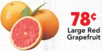 Large Red Grapefruit