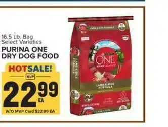 Food Lion Purina One Dry Dog Food offer