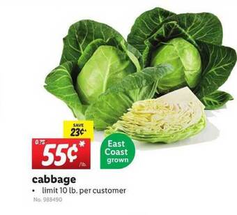 Lidl Cabbage offer