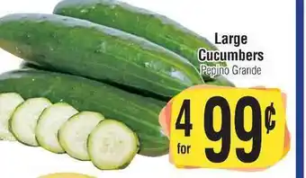 Large Cucumbers Pepino Grande