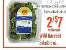 Wild Harvest Salads