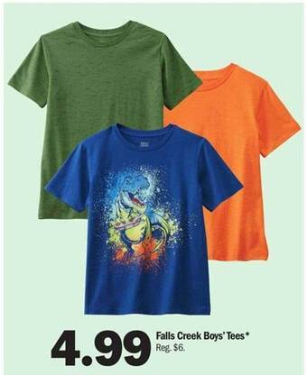 Meijer Falls Creek Boy's Tees offer