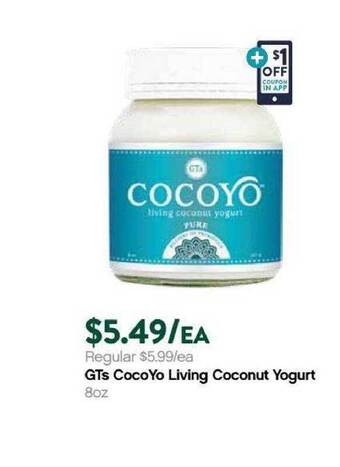 Plum Market Gts Cocoyo Living Coconut Yogurt offer