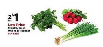Stater Bros Cilantro Green Onions Or Radishes offer