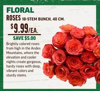 Central Market Floral Roses offer