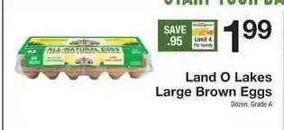 The Fresh Grocer Land O Lakes Large Brown Eggs offer