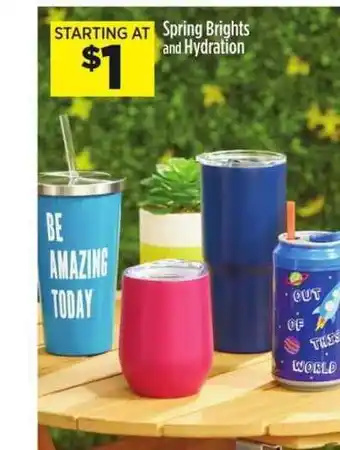 Dollar General Spring Brights And Hydration offer