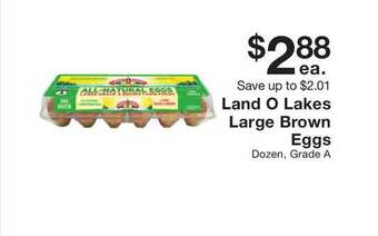 Fairway Store Market Land O Lakes Large Brown Eggs offer