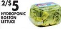 Met Foodmarkets Hydroponic Boston Lettuce offer