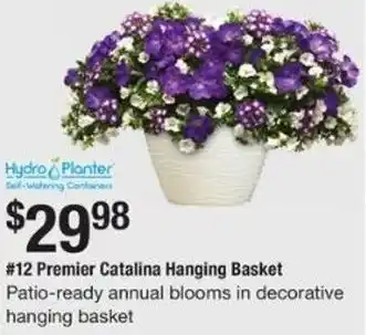 The Home Depot #12 Premier Catalina Hanging Basket offer