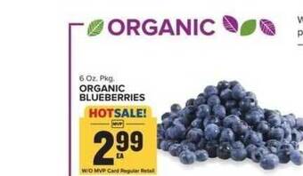 Food Lion Organic Blueberries offer