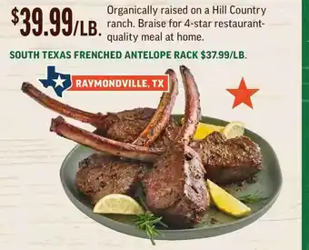 Central Market South Texas Frenched Antelope Rack offer