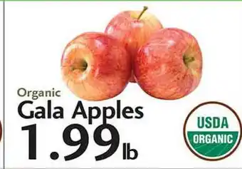 Sunset Foods Gala Apples offer