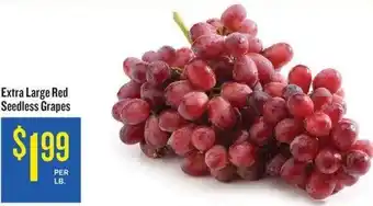 Extra Large Red Seedless Grapes per Lb.