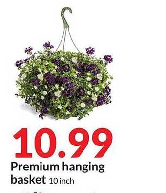 Hy-Vee Premium Hanging Basket offer