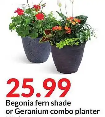 Hy-Vee Begonia Fern Shade Or Geranium Combo Planter offer