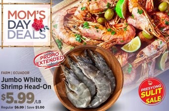 Jumbo White Shrimp Head-On