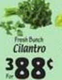 Sellers Bros Cilantro offer