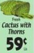 Sellers Bros Cactus with Thorns offer