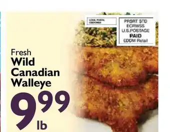 Festival Foods Fresh Wild Canadian Walleye offer