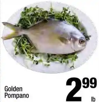 Super King Markets Golden Pompano offer