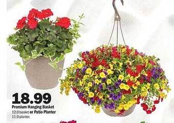Meijer Premium Hanging Basket Or Patio Planter offer