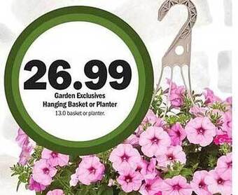 Meijer Garden Exclusives Hanging Basket Or Planter offer
