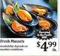 Rosauers Fresh Mussels offer