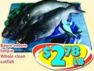 Savers Cost Plus Whole Clean Catfish offer