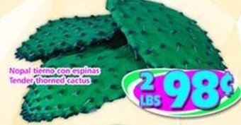 Savers Cost Plus Tender Thorned Cactus offer