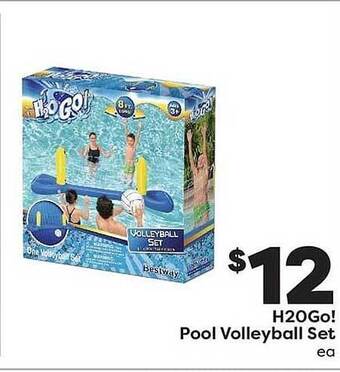 Weis Markets H20Go! Pool Volleyball Set offer