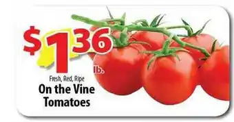 Wholesale Food Outlet On The Vine Tomatoes offer