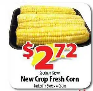 New Crop Fresh Corn