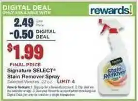 Signature Select Stain Remover Spray