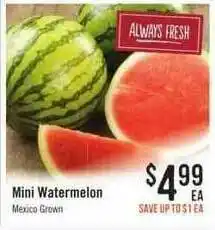 Haggen Food Mini Watermelon offer