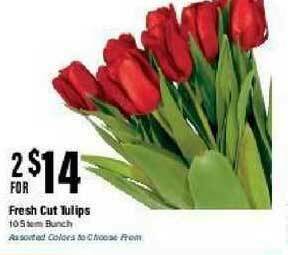 Big Y Fresh Cut Tulips offer