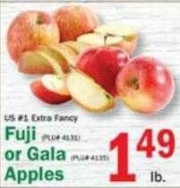 Food Bazaar Fuji Or Gala Apples offer