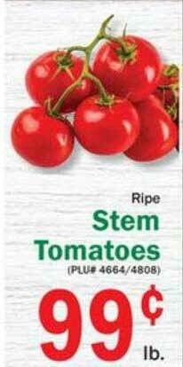 Food Bazaar Ripe Stem Tomatoes offer