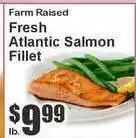 Food Universe Farm Raised Fresh Atlantic Salmon Fillet offer