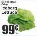 Iceberg Lettuce