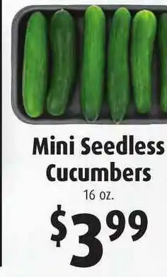 Gristedes Mini Seedless Cucumbers offer