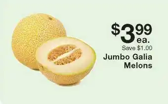 Fairway Store Market Jumbo Galia Melons offer