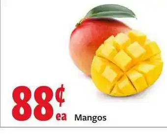 Fareway Mangos offer