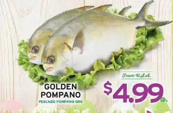 Golden Pompano
